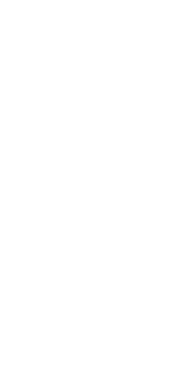 Decoration Section